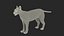 Caracal Fur Rigged
