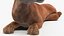 Caracal Fur Rigged
