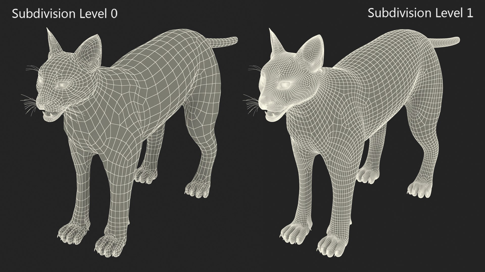 Caracal Fur Rigged 3D model https://p.turbosquid.com/ts-thumb/lT/Oqk7Rc/Sc/caracalfurriggedmb3dmodel037/jpg/1706567338/1920x1080/fit_q87/5f0270e2606d09c6e3067c6059a2dae4c8b10eb4/caracalfurriggedmb3dmodel037.jpg