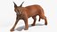 Caracal Fur Rigged