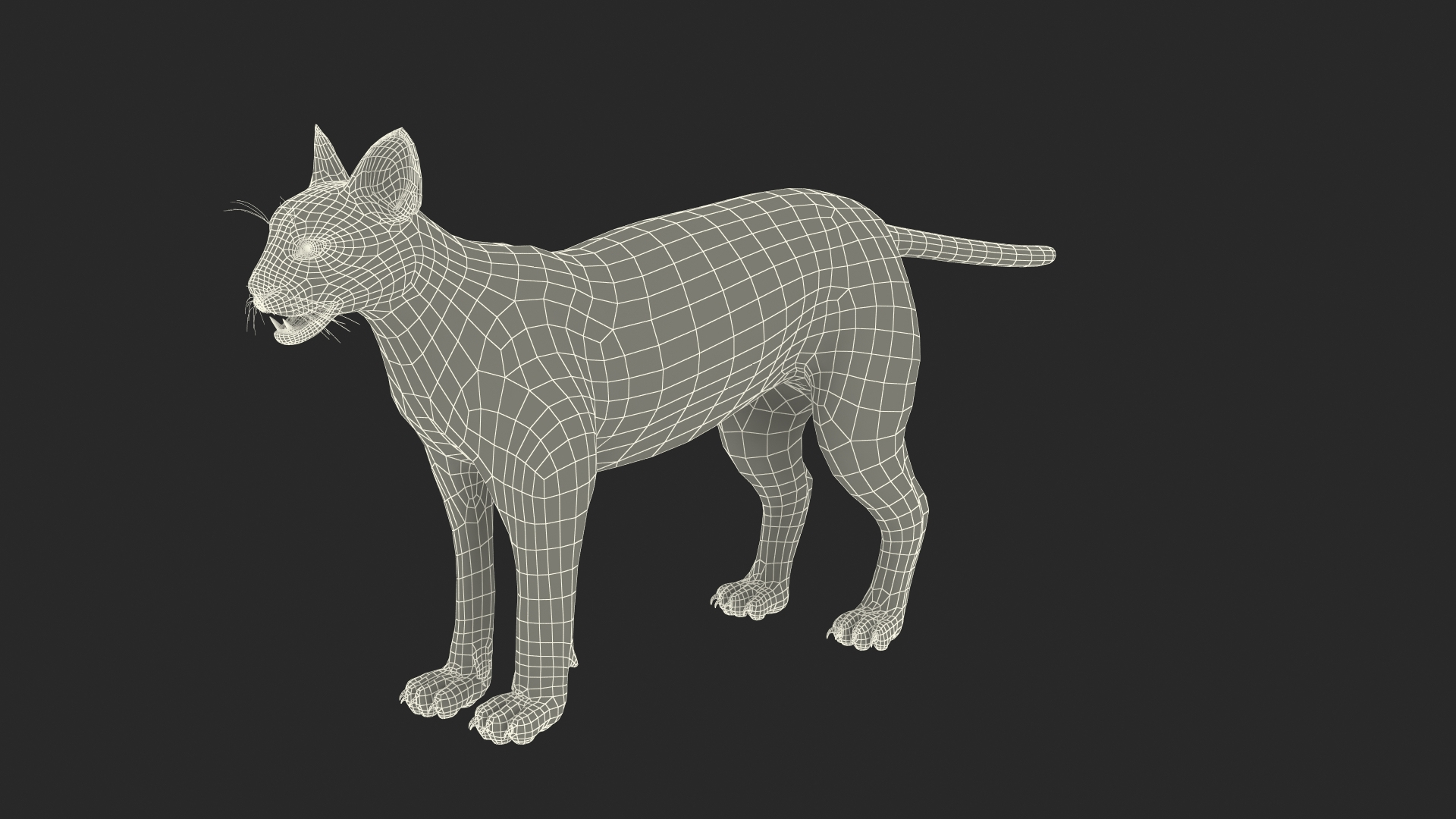 Caracal Fur Rigged 3D model https://p.turbosquid.com/ts-thumb/lT/Oqk7Rc/sW/caracal_fur_rigged_361/jpg/1706566553/1920x1080/turn_fit_q99/9164b7d537cda67e67a7b9d5f3ef3feb34d3322c/caracal_fur_rigged_361-1.jpg