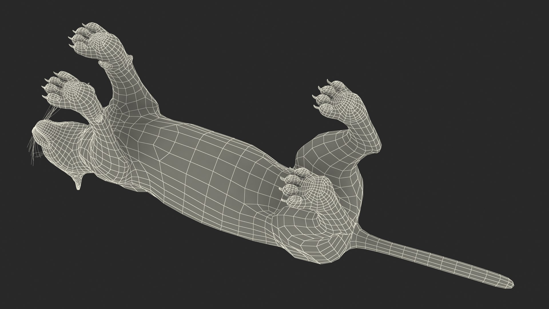 Caracal Fur Rigged 3D model https://p.turbosquid.com/ts-thumb/lT/Oqk7Rc/us/caracalfurriggedmb3dmodel044/jpg/1706567373/1920x1080/fit_q87/6215f07f074d575145ae7a072f6bf3f5d1509047/caracalfurriggedmb3dmodel044.jpg