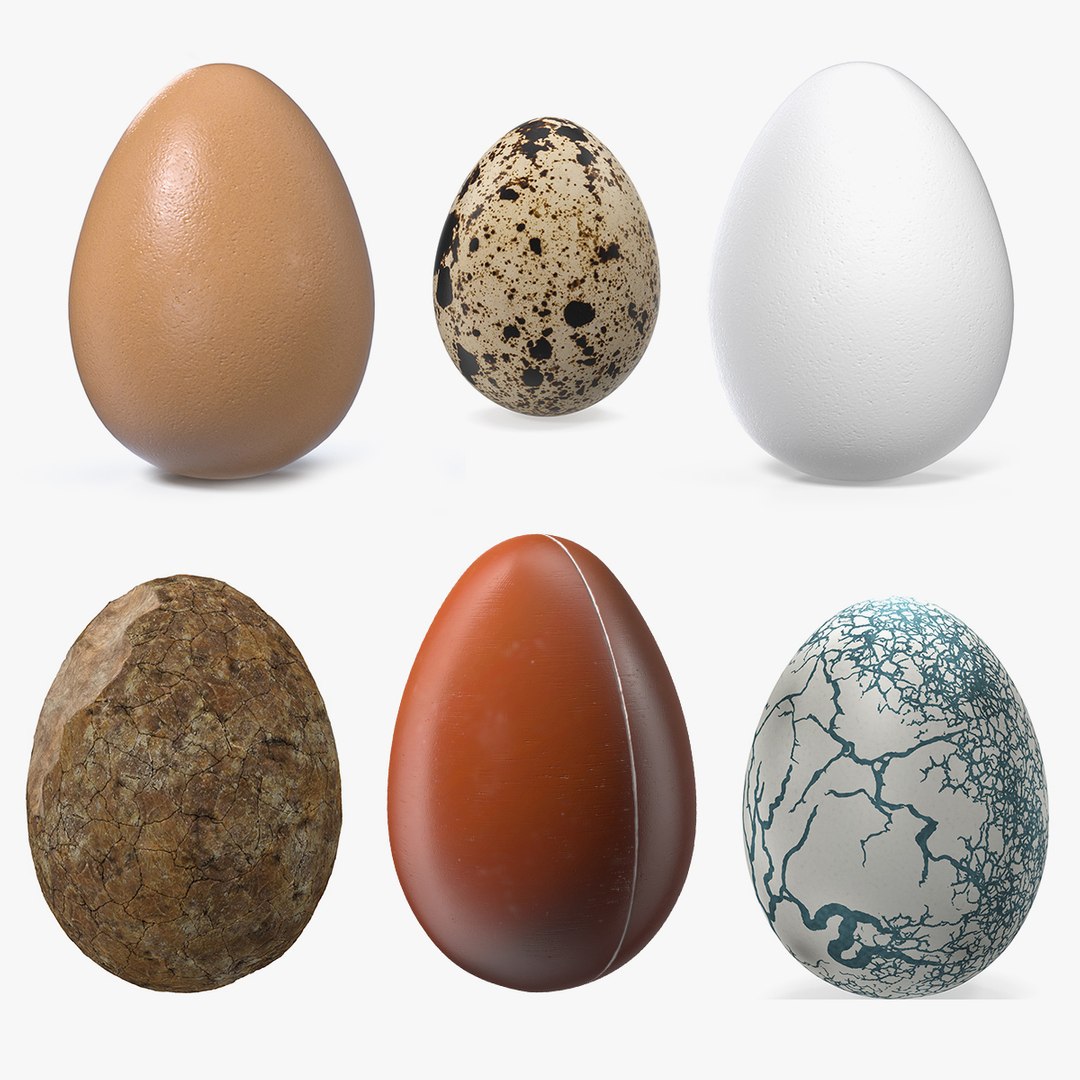 Eggs Collection 3 3D model preview