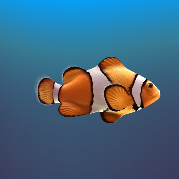 clown fish cartoon rigged max