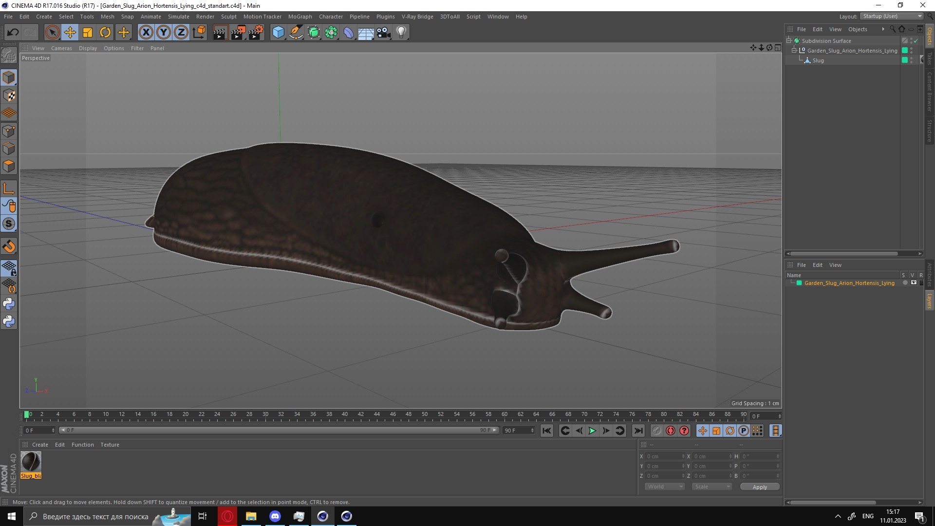 Garden Slug Arion Hortensis Lying model https://p.turbosquid.com/ts-thumb/lT/kPIxWH/8E/gardenslugarionhortensislyingvray3dmodel034/jpg/1673623167/1920x1080/fit_q87/bd9a314c381bf7ec1ce8283f86c44b11f4680a91/gardenslugarionhortensislyingvray3dmodel034.jpg