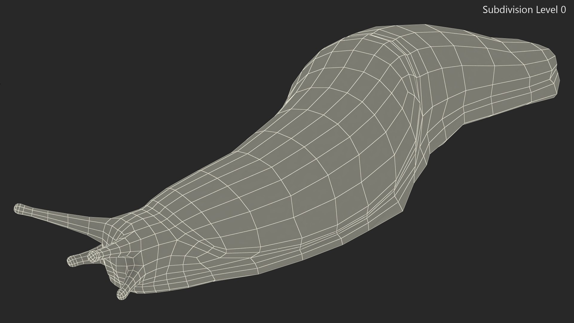 Garden Slug Arion Hortensis Lying model https://p.turbosquid.com/ts-thumb/lT/kPIxWH/BT/gardenslugarionhortensislyingvray3dmodel016/jpg/1673623134/1920x1080/fit_q87/d1e89f024ffb034fdb14dd816b38714e3dcc2a07/gardenslugarionhortensislyingvray3dmodel016.jpg