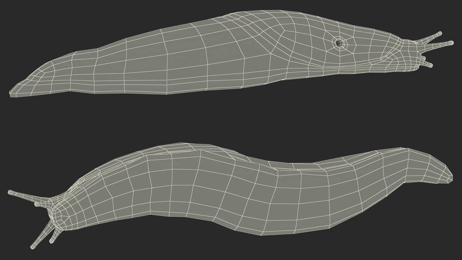 Garden Slug Arion Hortensis Lying model https://p.turbosquid.com/ts-thumb/lT/kPIxWH/DT/gardenslugarionhortensislyingvray3dmodel023/jpg/1673623155/1920x1080/fit_q87/a0ea2df794ab653d5db8f9fed5e2f0f088abc29f/gardenslugarionhortensislyingvray3dmodel023.jpg