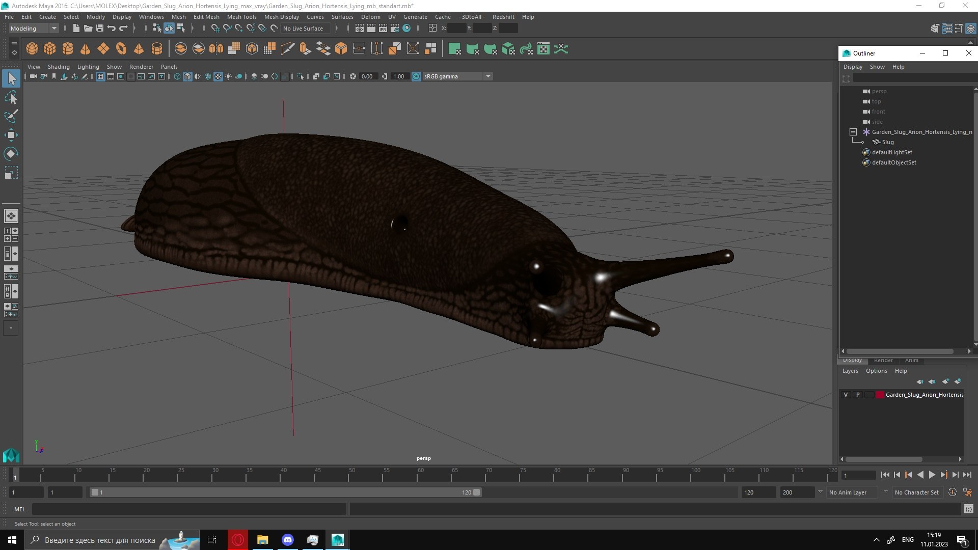 Garden Slug Arion Hortensis Lying model https://p.turbosquid.com/ts-thumb/lT/kPIxWH/RP/gardenslugarionhortensislyingvray3dmodel035/jpg/1673623170/1920x1080/fit_q87/68897ca9d1c519f104d913063b6d4a663753d193/gardenslugarionhortensislyingvray3dmodel035.jpg