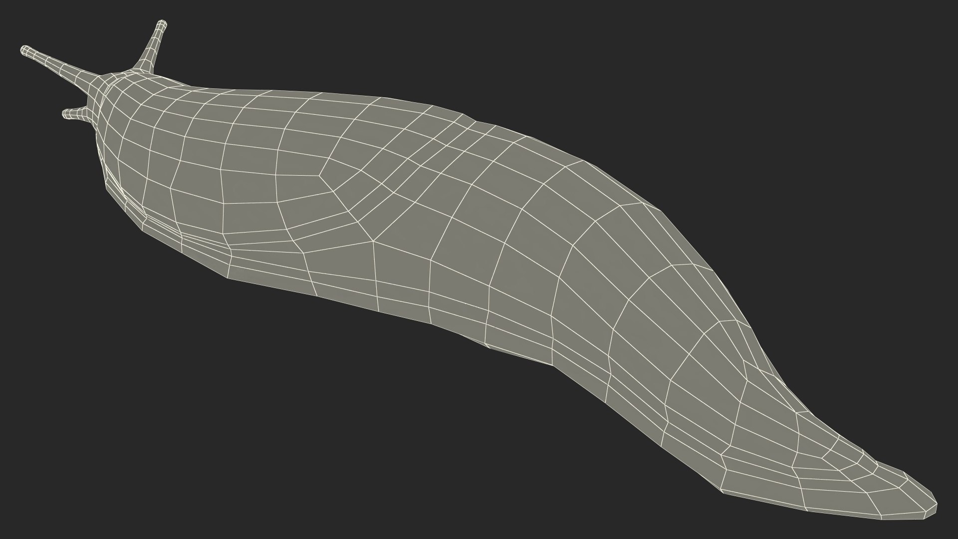 Garden Slug Arion Hortensis Lying model https://p.turbosquid.com/ts-thumb/lT/kPIxWH/TH/gardenslugarionhortensislyingvray3dmodel022/jpg/1673623152/1920x1080/fit_q87/740a7c37df788945100ecf84b60039a95783d30a/gardenslugarionhortensislyingvray3dmodel022.jpg