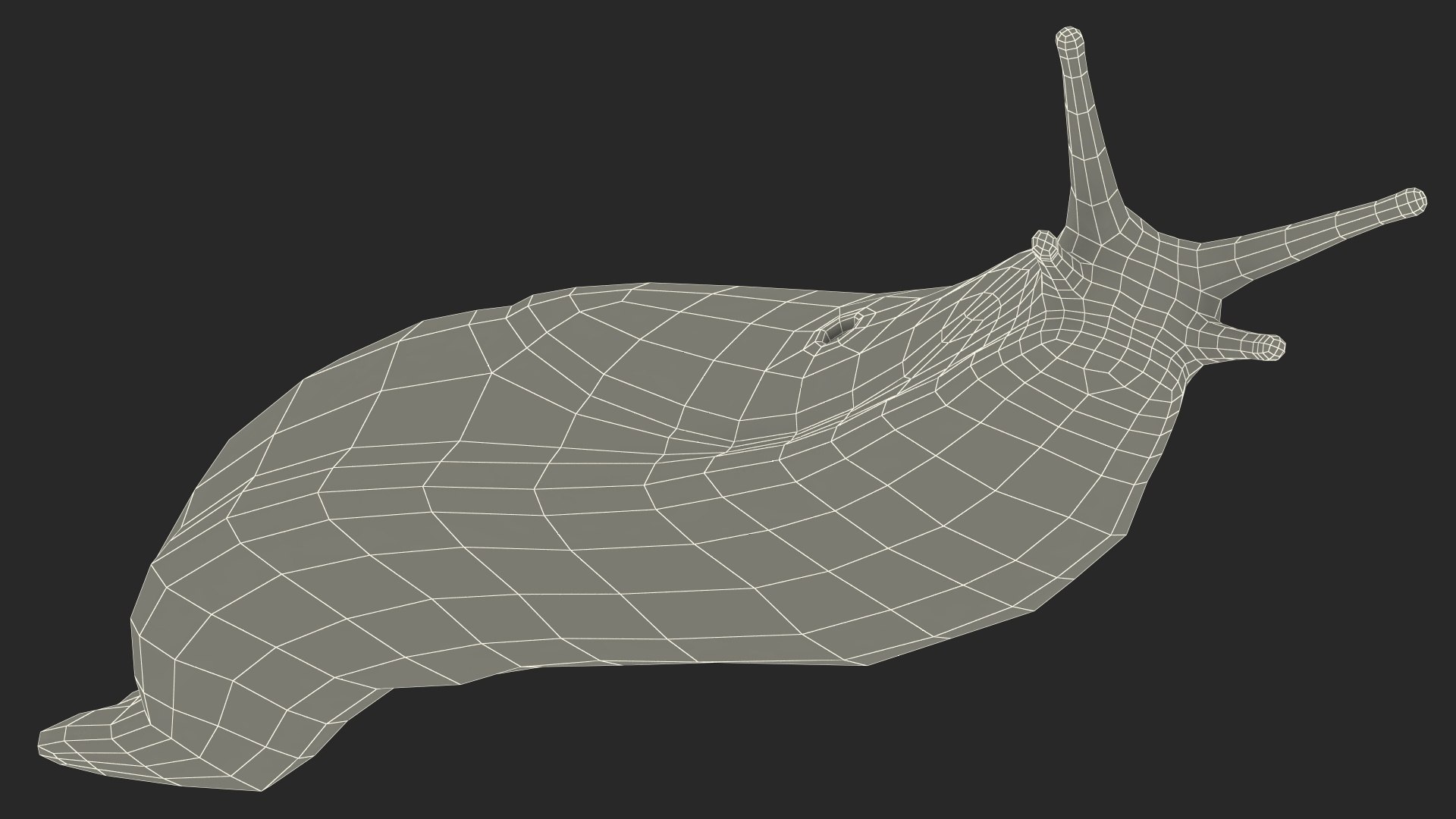 Garden Slug Arion Hortensis Lying model https://p.turbosquid.com/ts-thumb/lT/kPIxWH/cZ/gardenslugarionhortensislyingvray3dmodel024/jpg/1673623159/1920x1080/fit_q87/f5fa5f2a78253147e8d691393c83269fe987e5cc/gardenslugarionhortensislyingvray3dmodel024.jpg