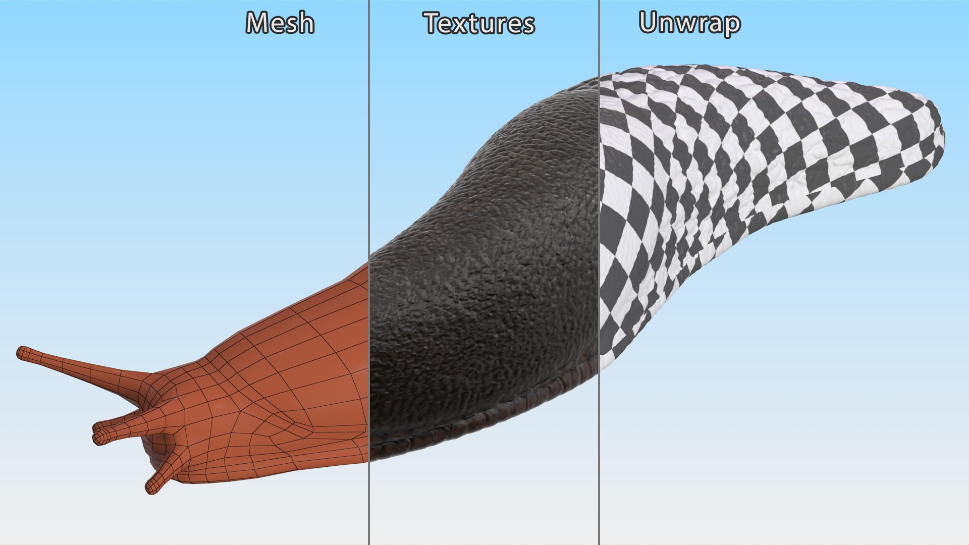 Garden Slug Arion Hortensis Lying model https://p.turbosquid.com/ts-thumb/lT/kPIxWH/mV/gardenslugarionhortensislyingvray3dmodel015/jpg/1673623131/1920x1080/fit_q87/765c65bb479fd1a375978809fba681c4c9a01dd6/gardenslugarionhortensislyingvray3dmodel015.jpg