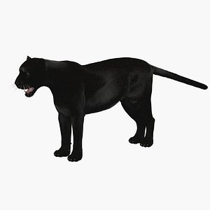 panther 3D model