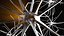 Nerve Cell