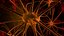 Nerve Cell