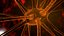 Nerve Cell
