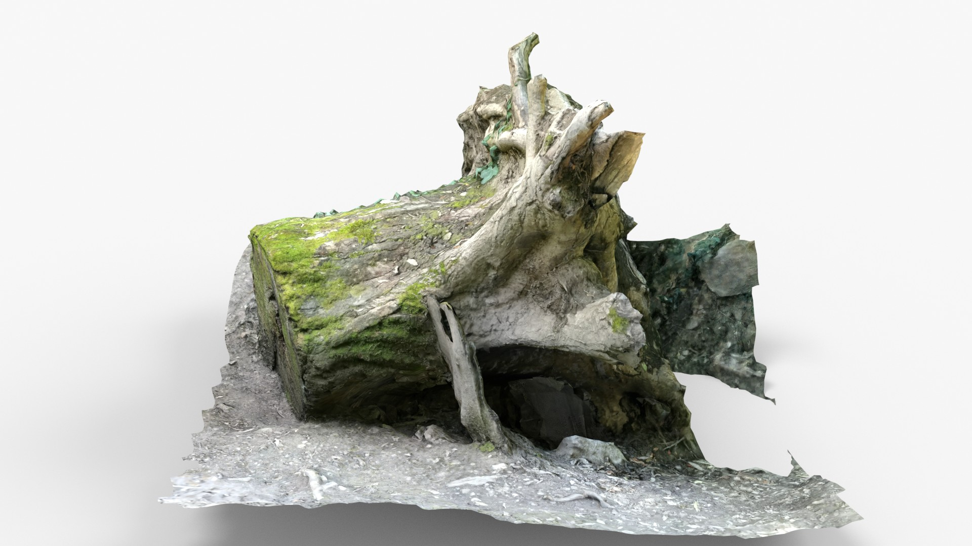 Tree Stump 3D Model TurboSquid 1770389