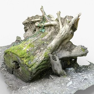 Tree stump 3D model