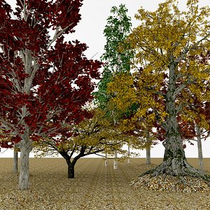 3D model autumn cherry aspen