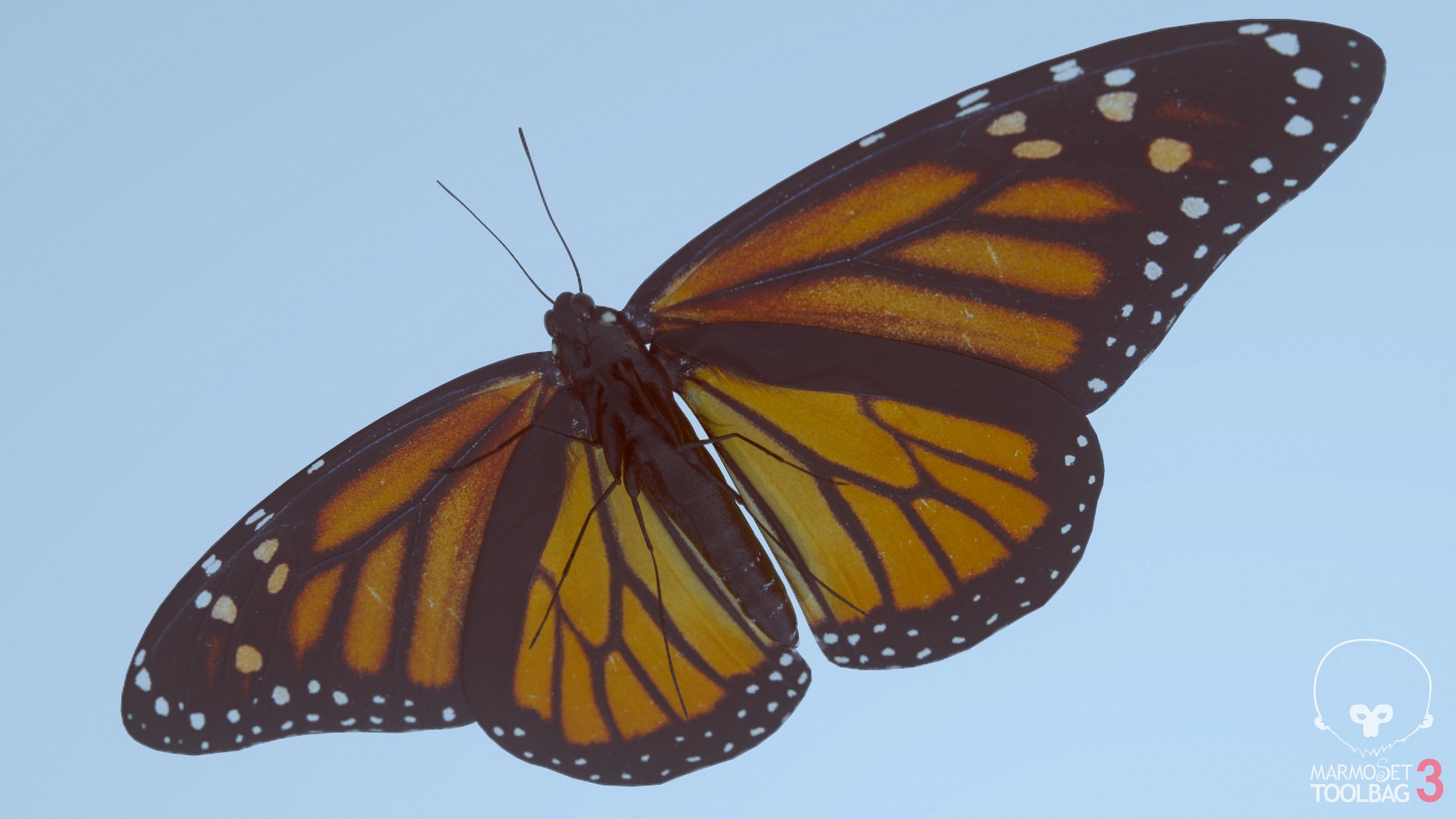 3D monarch butterfly https://p.turbosquid.com/ts-thumb/lU/1hp79k/XN2uMuyh/screenshot1957/png/1596258309/1920x1080/fit_q87/0a229519ba1526407d4119e61cf991901f88a9aa/screenshot1957.jpg