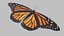 3D monarch butterfly