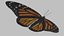 3D monarch butterfly