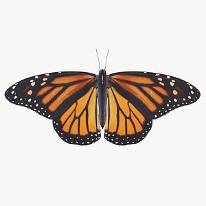 Monarch Butterfly