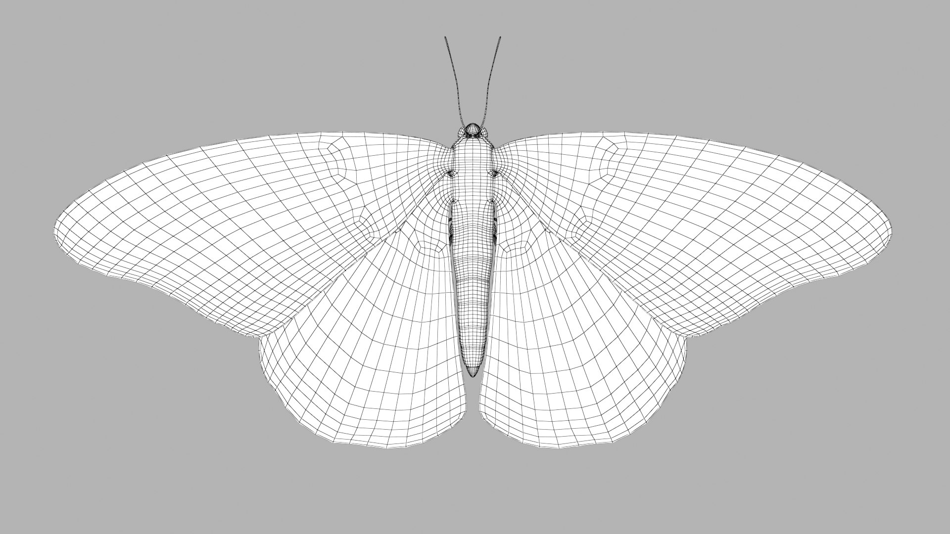 3D monarch butterfly https://p.turbosquid.com/ts-thumb/lU/1hp79k/zChDelid/monarch_r1w/png/1596258275/1920x1080/fit_q87/e88d25bccb8aa12c158531836018316631a16f72/monarch_r1w.jpg