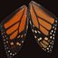 butterfly monarch fly 3D