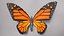 butterfly monarch fly 3D