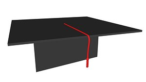 Graduation Hat