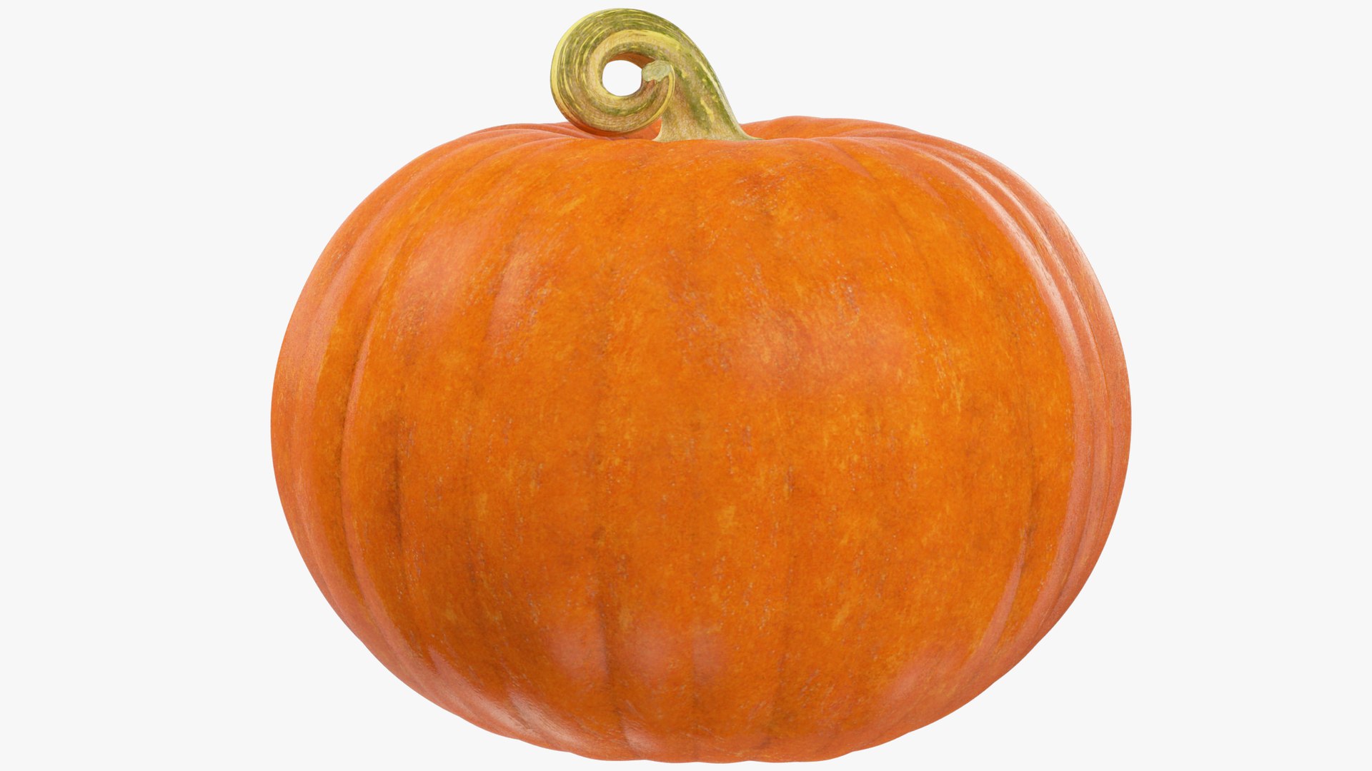 Halloween Pumpkins Family Mega Collection V1 3D https://p.turbosquid.com/ts-thumb/lU/FImWyh/oQ/p3_004_003/png/1630325960/1920x1080/fit_q87/771110131e7a5335adeec9261cd49af0177a8612/p3_004_003.jpg
