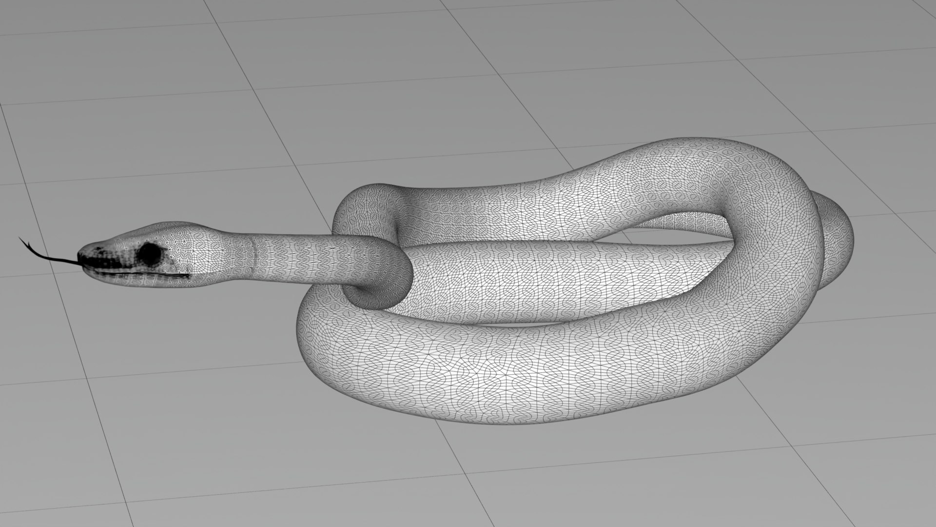 3D Realistic Python Snake Rigged For Maya - TurboSquid 1980576