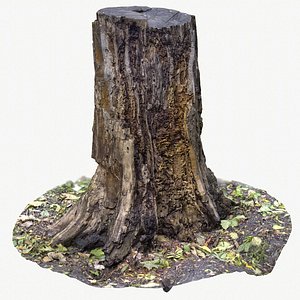 tree stump 3D model