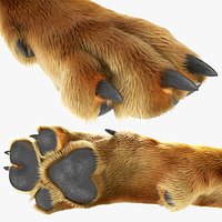 Dog Paw Fur For Maya