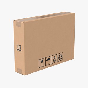 3D Cardboard Box 50x10x35 Closed