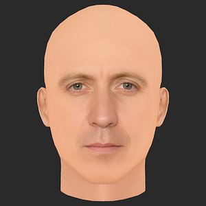 3D model Low Poly Rhys Ifans Head