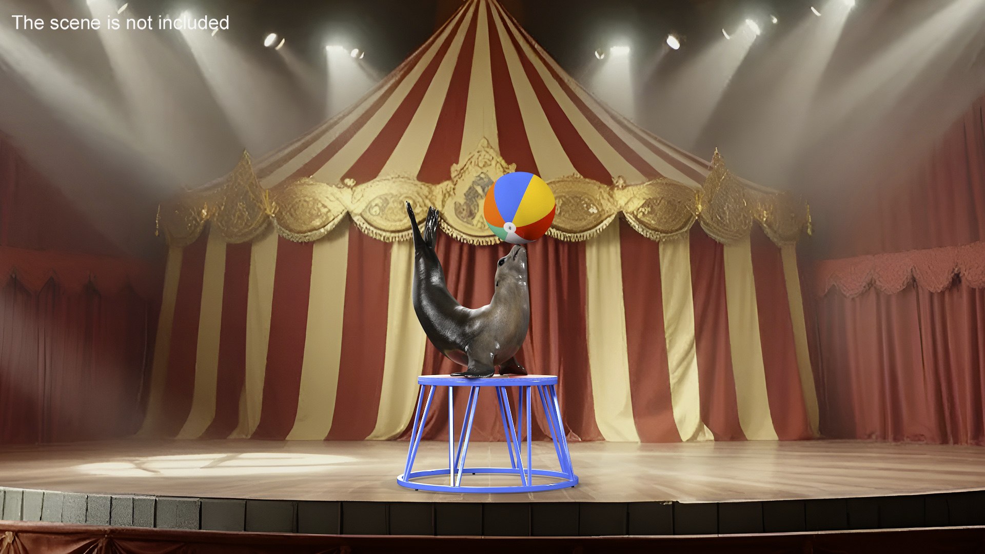3D Circus Interior with Clown and Animals Collection https://p.turbosquid.com/ts-thumb/lU/gDtp6A/MK/circus_interior_with_clown_and_animals_collection_008/jpg/1748518543/1920x1080/fit_q87/8724da968bb8d2322e889ca6dd6d2dae8b705de6/circus_interior_with_clown_and_animals_collection_008.jpg