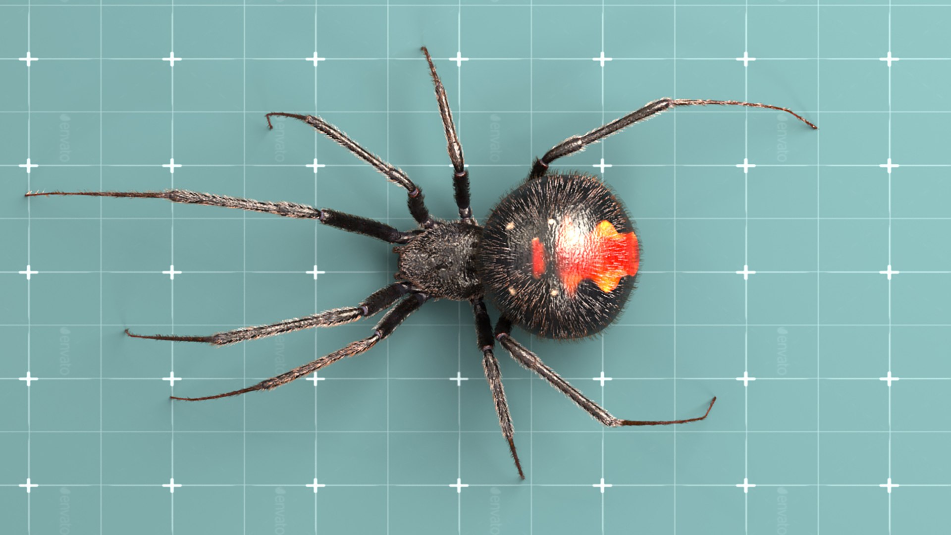 Kit Modèle 3D Metal Earth - Araignée Black Widow (Veuve Noire) - En Tôle D'acier à Assembler - 36 Pièces