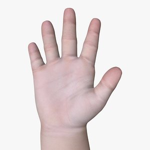 HND-013 Rigged Right Hand 3D