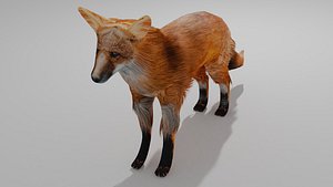 Fox OBJ BLEND model