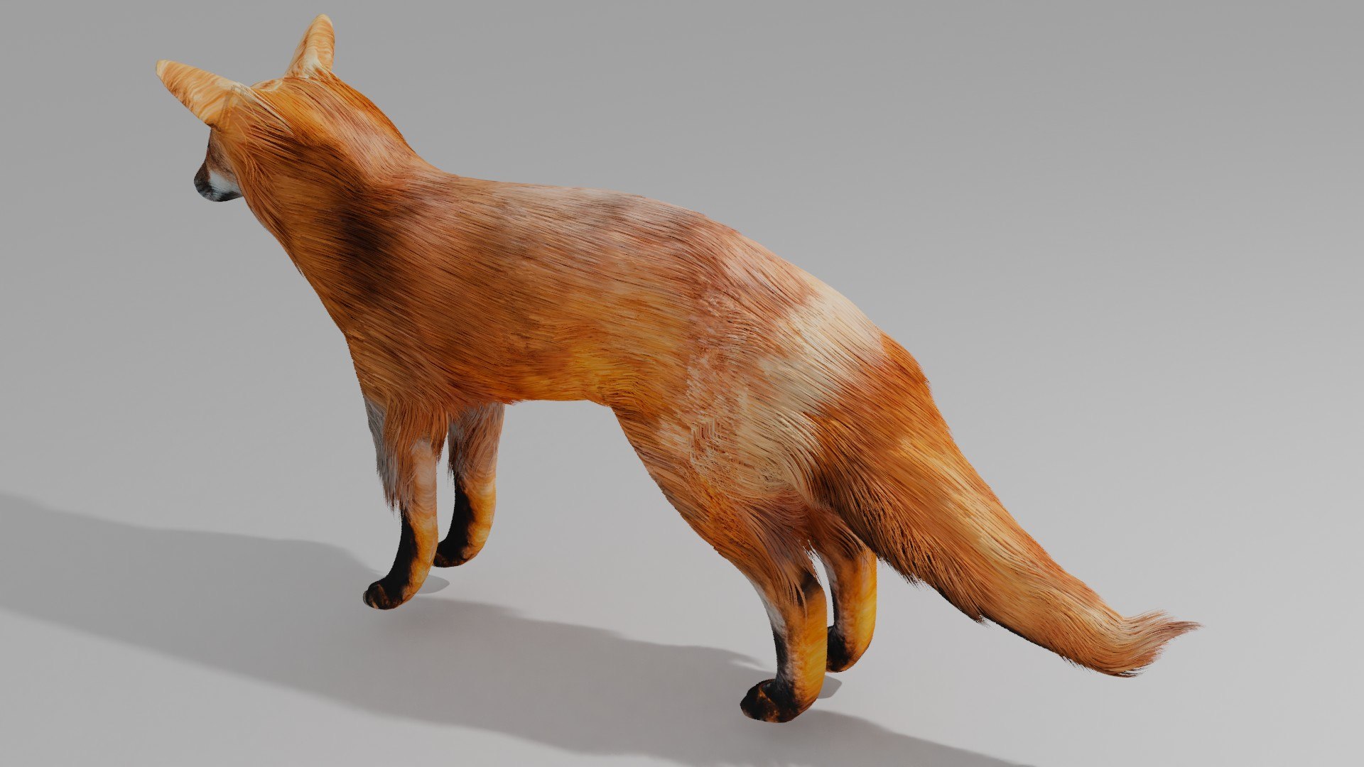 Forest animals OBJ and BLEND 2 model https://p.turbosquid.com/ts-thumb/lU/uLPs2x/kO/1/jpg/1789802378/1920x1080/fit_q87/c2e750ade891d3994674b22dec950c57cee4de90/1.jpg