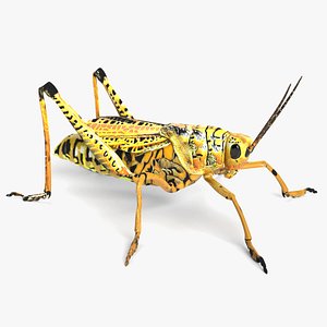 3D grasshopper grass