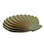 SEASHELL-3d