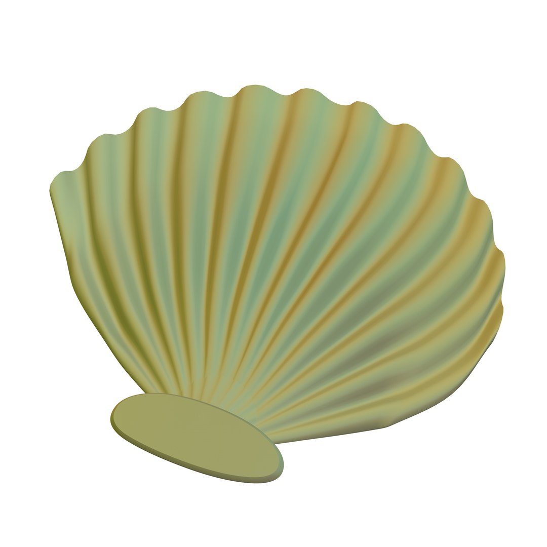 3D model SEASHELL-3d https://p.turbosquid.com/ts-thumb/lV/F4vzA7/uA/seashell3dsearch/jpg/1641834989/1920x1080/fit_q87/4d20a6a4aeb66d19511a482f102c840ffe004dfa/seashell3dsearch.jpg