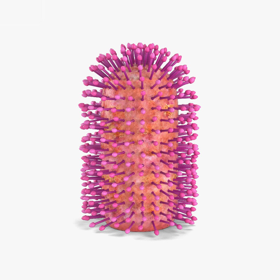 modelo 3d Virus de la rabia - TurboSquid 1677649