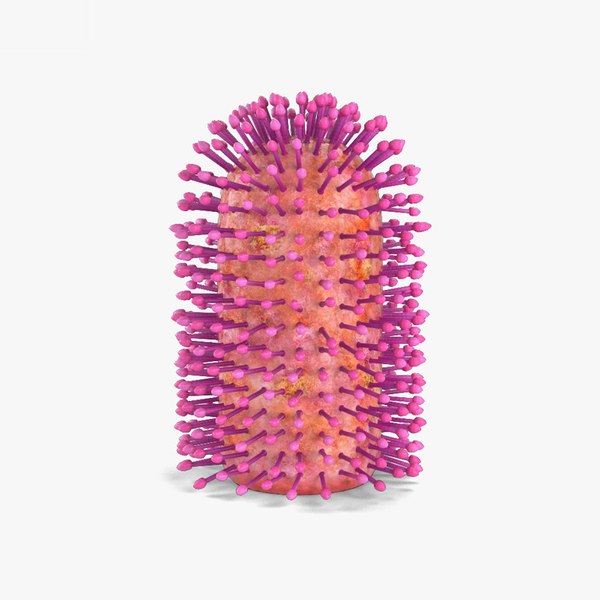 modelo 3d Virus de la rabia - TurboSquid 1677649