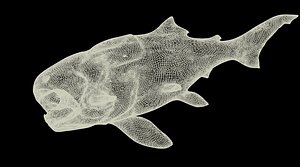 Dunkleosteus 3D Model