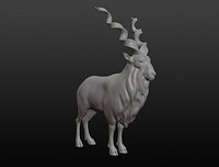 Markhor base mesh