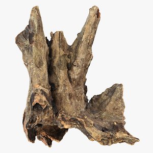 3D model Tree Trunk Piece 07 - Raw Scan