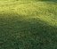 3D mowed lawn grass model